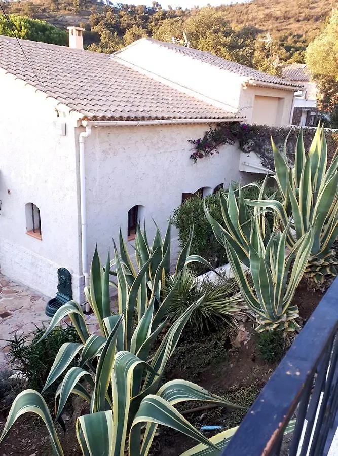 Appartements Dans Villa En Rez De Jardin Hyeres Apartment