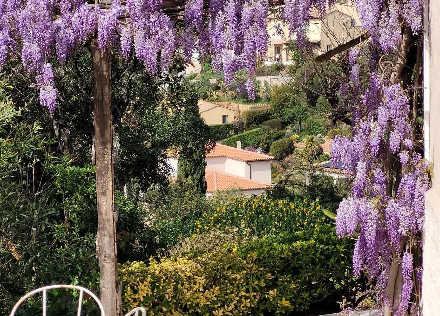 Apartment Appartements Dans Villa En Rez De Jardin Hyeres France